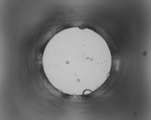 X0000116100525200912211614