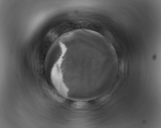 X0000116100526200912211614