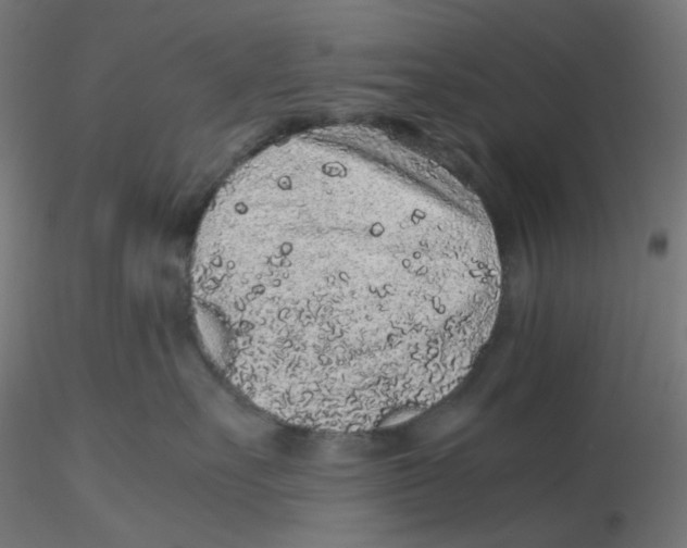 X0000116100527200912211614