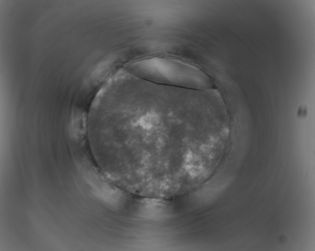 X0000116100528200912211614