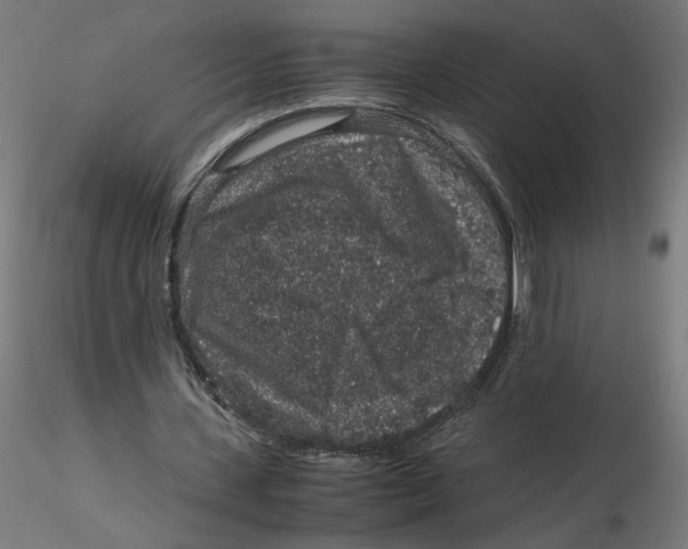 X0000116100531200912211613