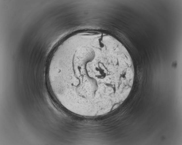 X0000116100534200912211613