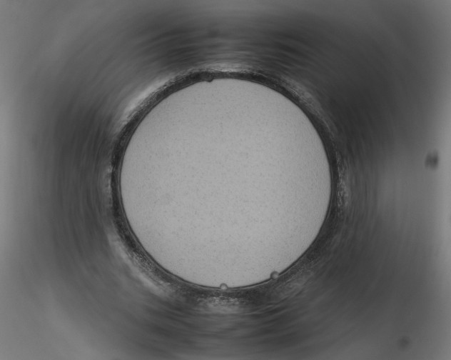 X0000116100535200912211613