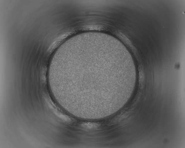 X0000116100537200912211613