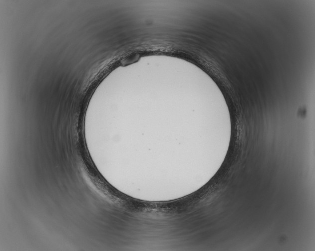 X0000116100538200912211613