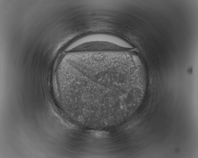 X0000116100539200912211613