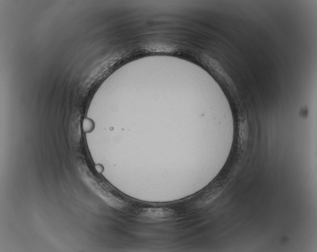 X0000116100541200912211613