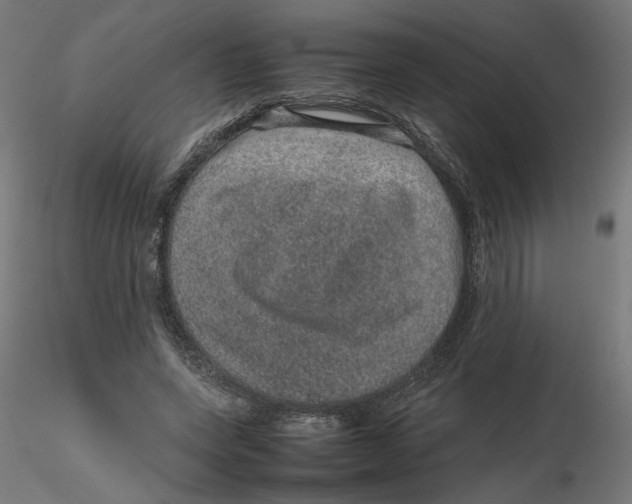 X0000116100543200912211613