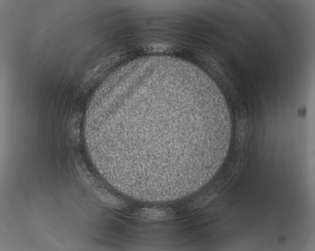 X0000116100545200912211613