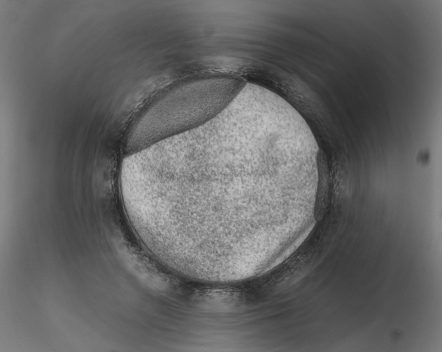 X0000116100546200912211613