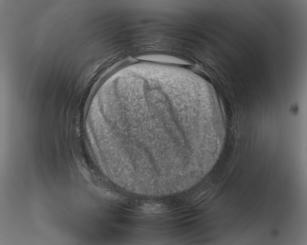 X0000116100547200912211613