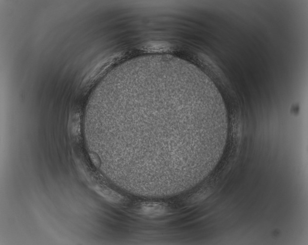 X0000116100549200912211613