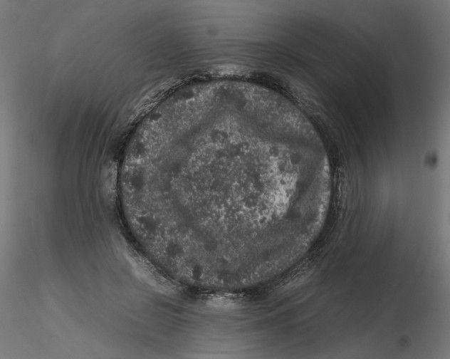 X0000116100550200912211613