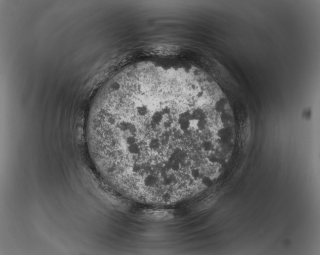 X0000116100553200912211613