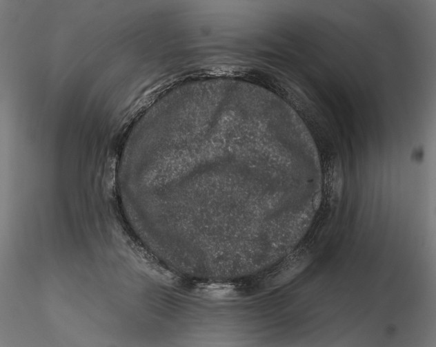 X0000116100554200912211613