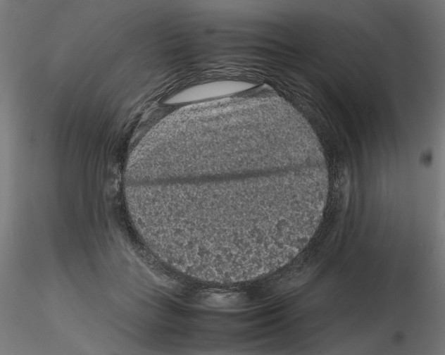 X0000116100555200912211613