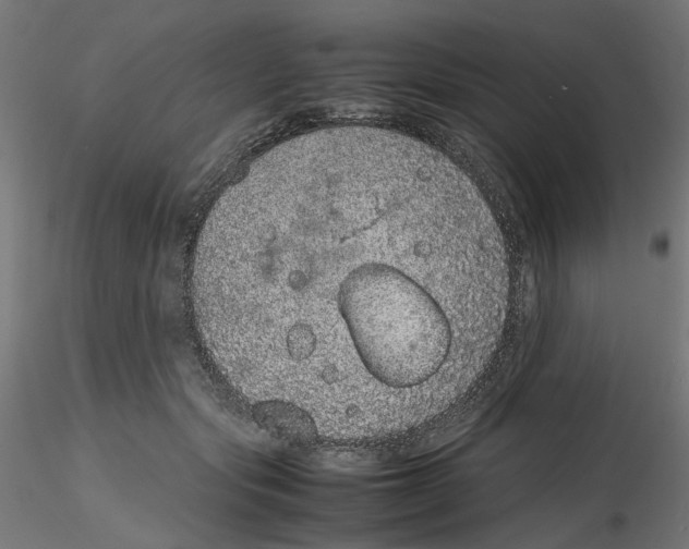 X0000116100557200912211614