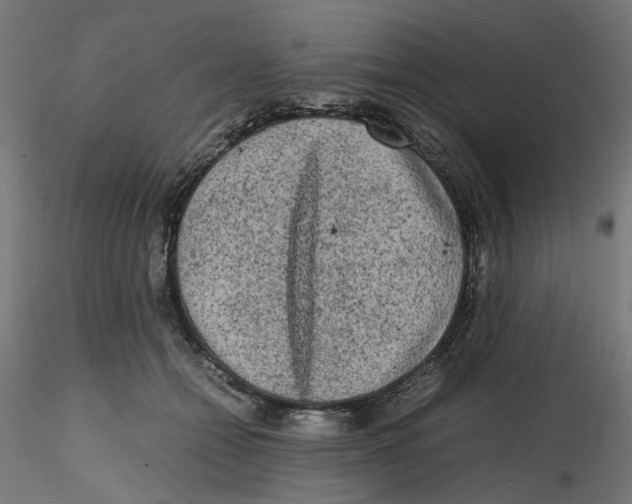 X0000116100558200912211614