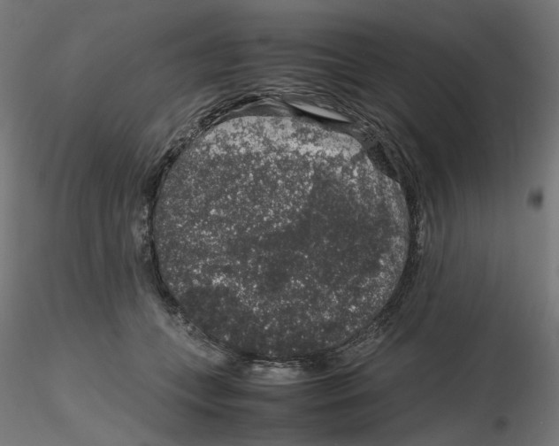 X0000116100559200912211614