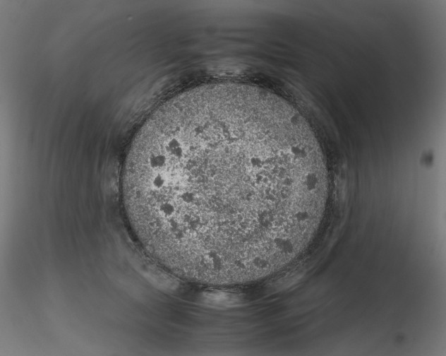 X0000116100561200912211614