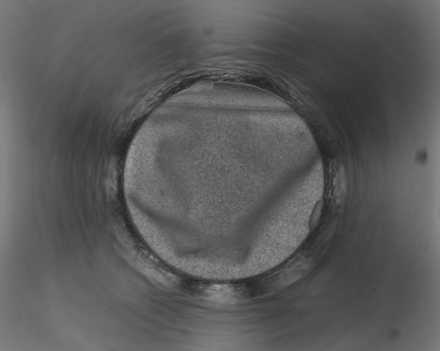 X0000116100562200912211614