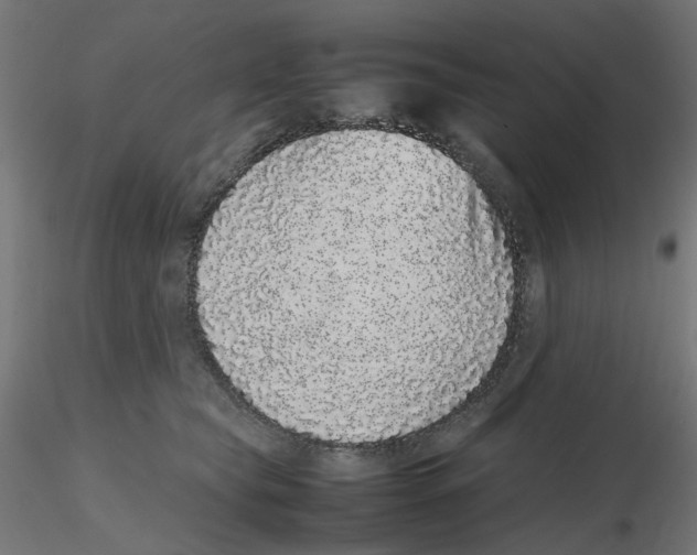 X0000116100565200912211614