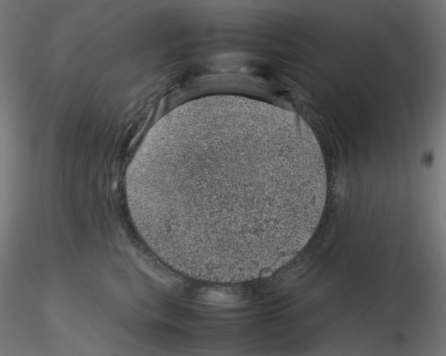 X0000116100567200912211614