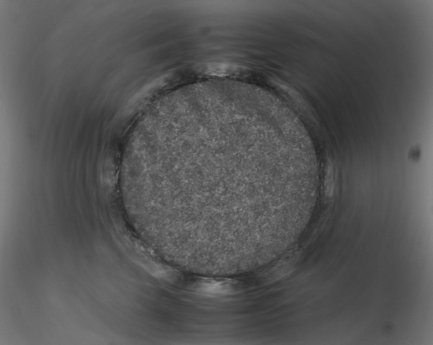 X0000116100569200912211614