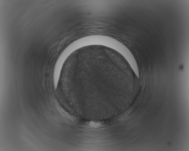 X0000116100570200912211614