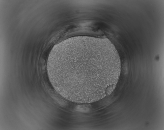 X0000116100571200912211614