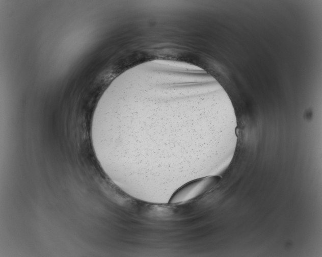 X0000116100573200912211614