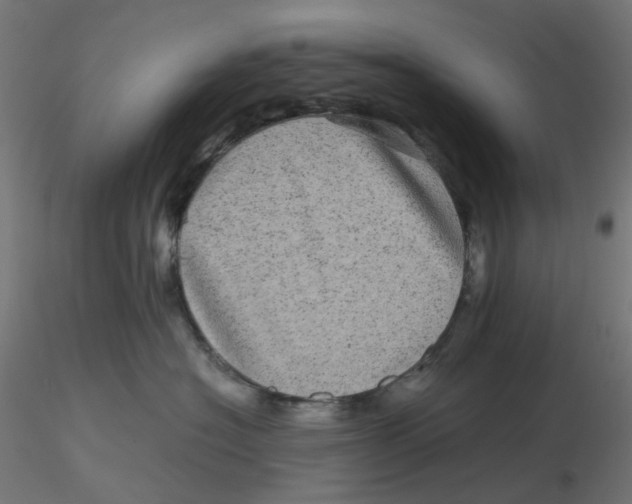 X0000116100574200912211614