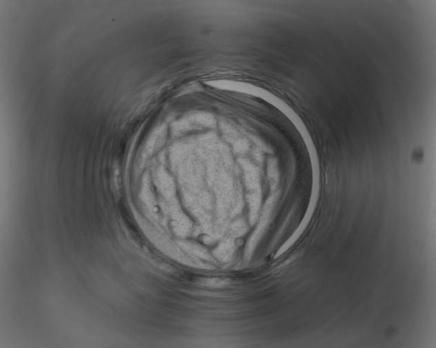 X0000116100575200912211614