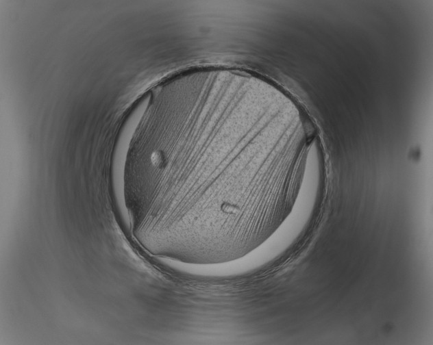 X0000116100577200912211613