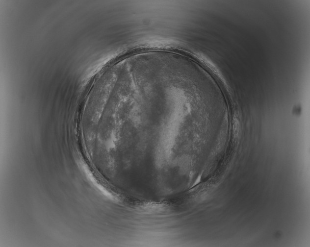 X0000116100581200912211613