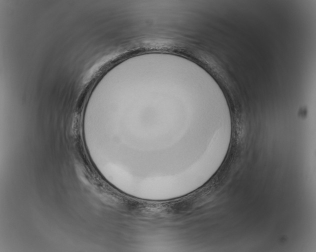 X0000116100583200912211613