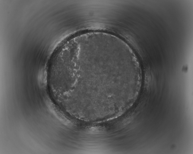 X0000116100584200912211613