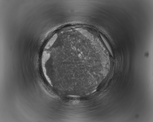 X0000116100588200912211613