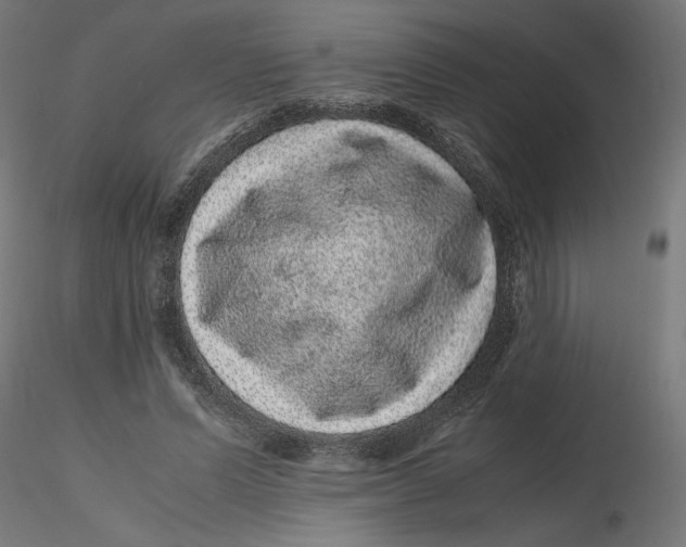 X0000116100591200912211613