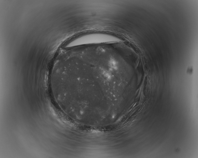 X0000116100592200912211613