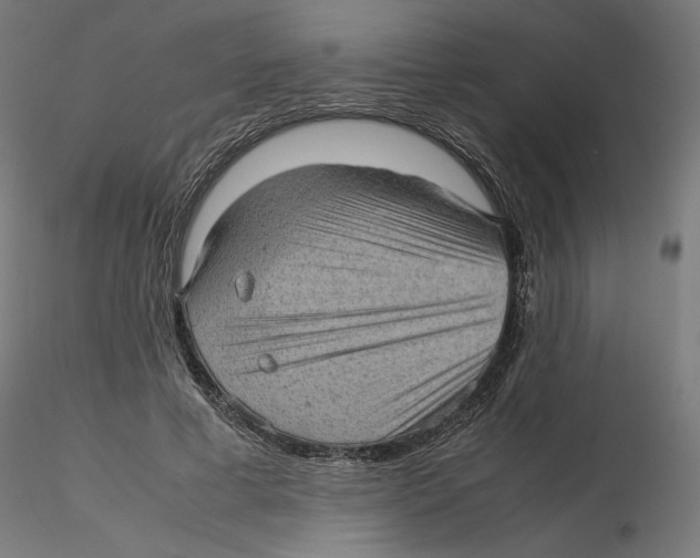 X0000116100593200912211613