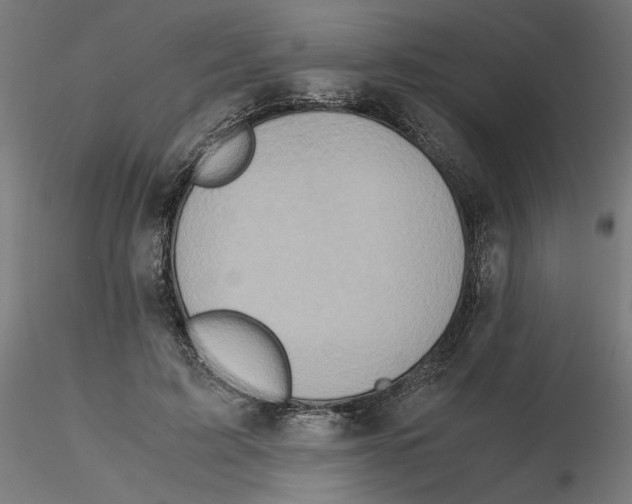 X0000116100595200912211613