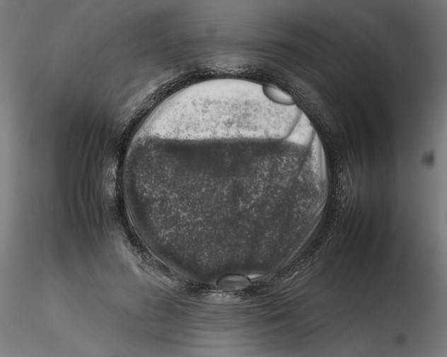 X0000116100596200912211613