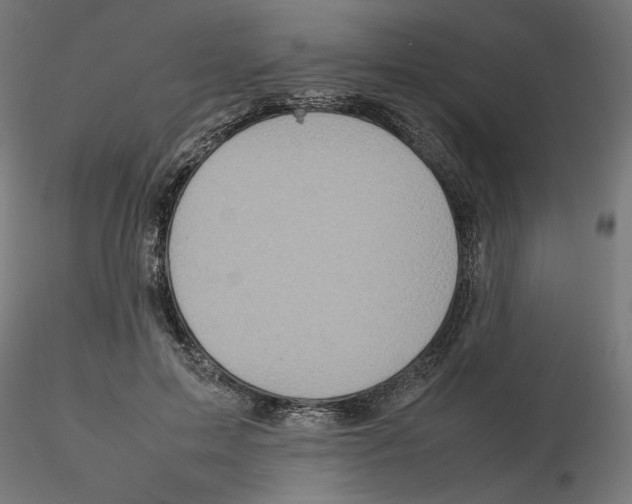 X0000116100599200912211613