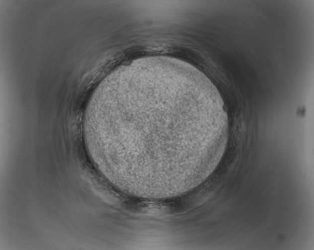 X0000116100601200912211613