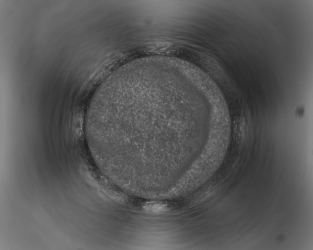 X0000116100602200912211613