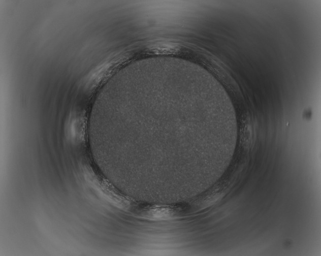 X0000116100604200912211613