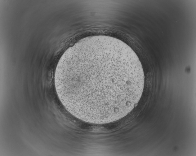 X0000116100605200912211613