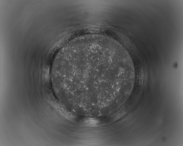 X0000116100610200912211613