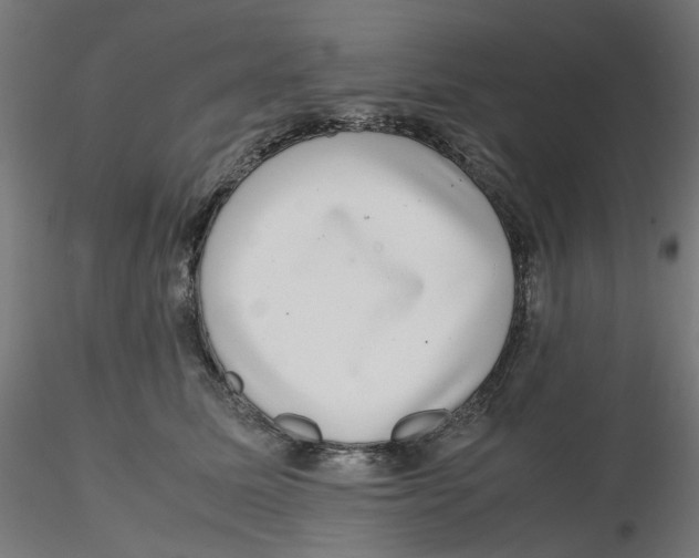 X0000116100611200912211613